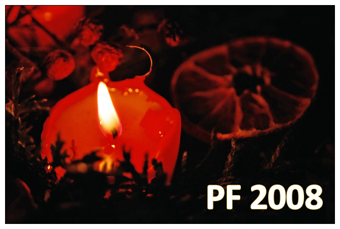 PF 2008