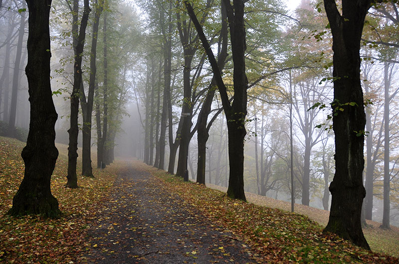 Promenáda