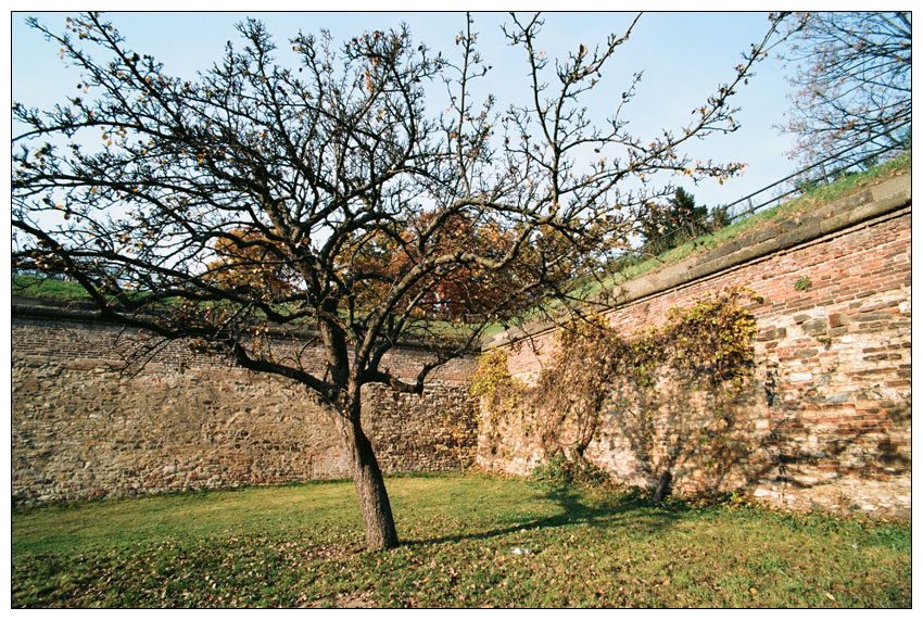 Cestou na Vyšehrad (7)